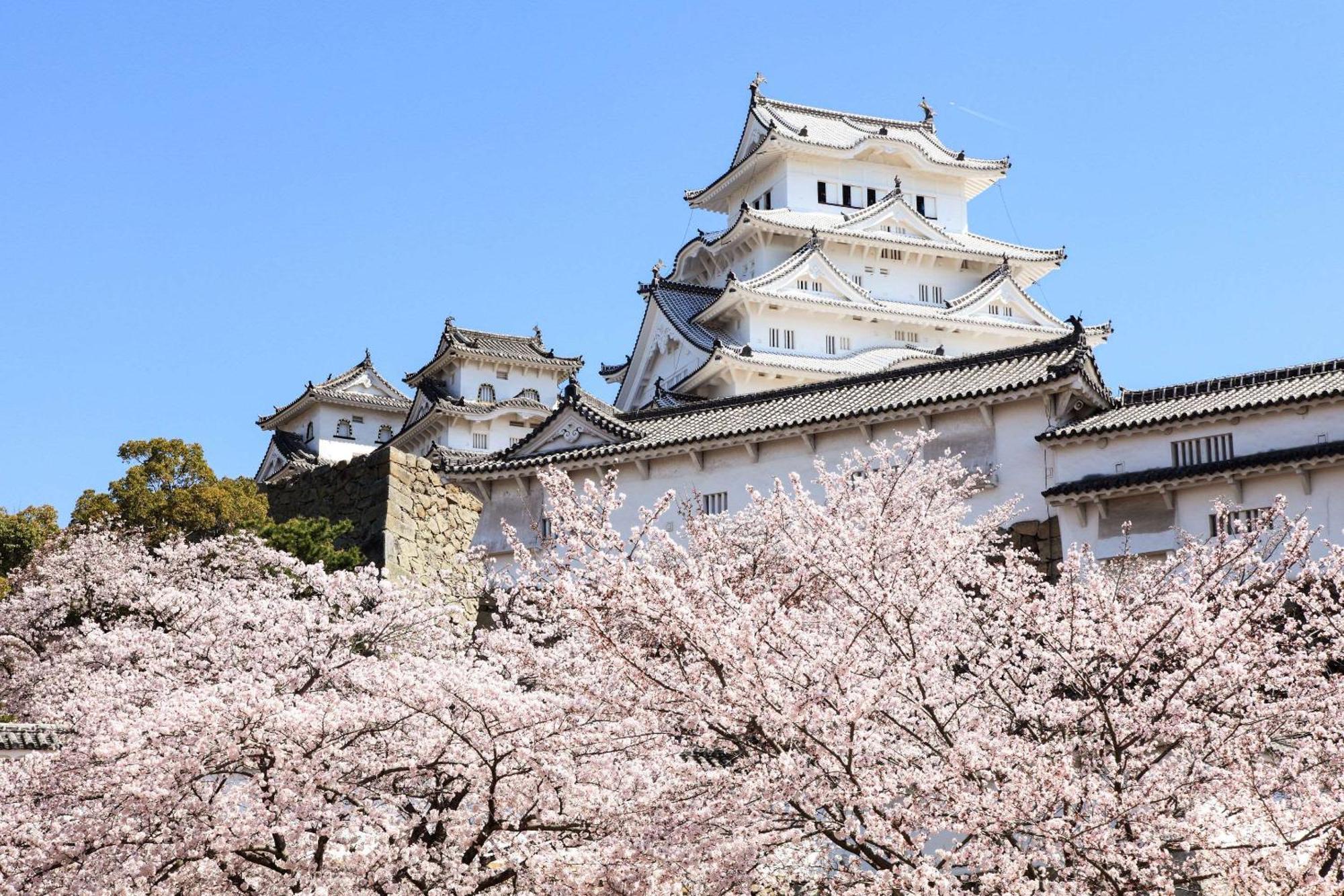 Comfort Hotel Himeji Eksteriør billede